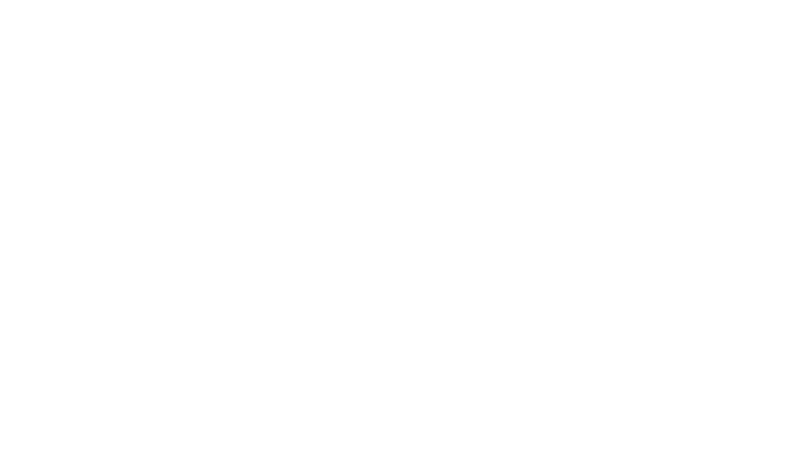 BIP logo